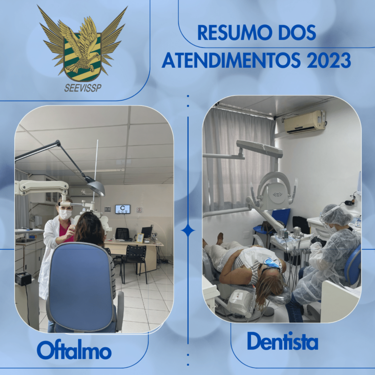 Resumo dos atendimentos prestados pelo SEEVISSP em 2023 no setor odontológico e oftalmológico